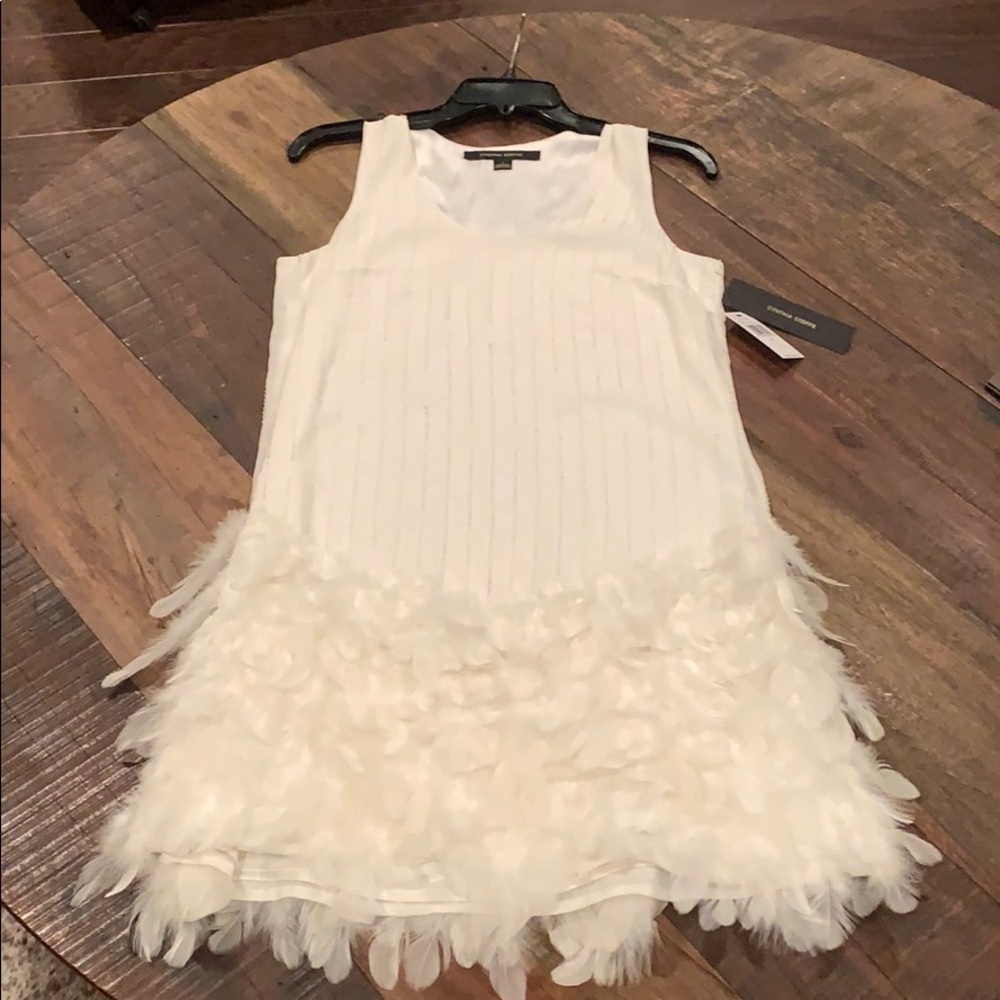 Brand New Cynthia Steffe Dress